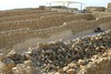 Jonathan Siegel (JSBird) > Multiple large storerooms like these contained the materials that Herod needed to maintain a royal lifestyle