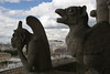 Jonathan Siegel (JSBird) > Up on the towers of Notre Dame, the famous gargoyles, hundreds of years old, look at amazement at the modern city below