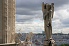Jonathan Siegel (JSBird) > From the Notre Dame tower