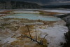 Jonathan Siegel (JSBird) > Another view of the upper Terraces at Mammoth Hot Springs