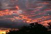 Jonathan Siegel (JSBird) > Costa Rica 6/2004 photo