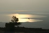 Jonathan Siegel (JSBird) > View of the Dead Sea from the top of the flat rock fortress