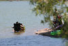Jonathan Siegel (JSBird) > Some of course just relaxed in the cool water
