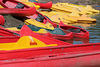 Jonathan Siegel (JSBird) > We rented kayaks for a day and had a blast
