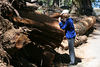 Jonathan Siegel (JSBird) > Becca, of course, stops to photograph the above mentioned beetle